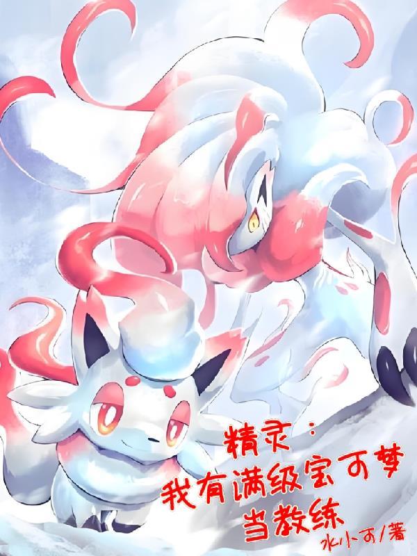 精灵宝可梦拥有系统的