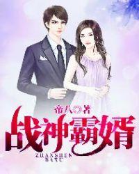 战神归来之霸婿叶枫