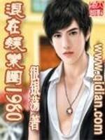 混在娱乐圈边缘