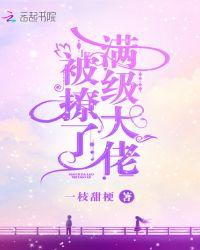 满级大佬他撩翻车了