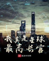 我真是星球最高长官 起点中文网
