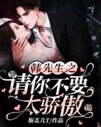 韩先生请你结个婚吧