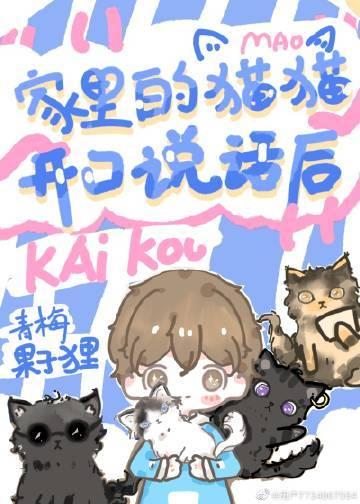 小猫咪说话过来