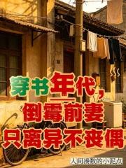 穿书年代,倒霉前妻只离异不丧偶